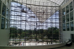 Solas Tint Installers at Work