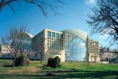 Commercial Window Tinting