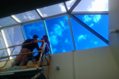 Retail, Storefront, Business Park Window Tinting MD